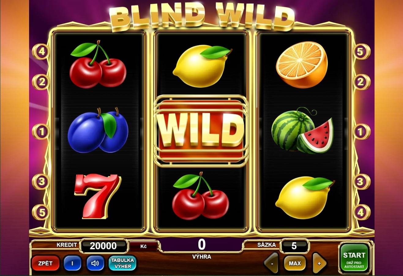 Blind Wild