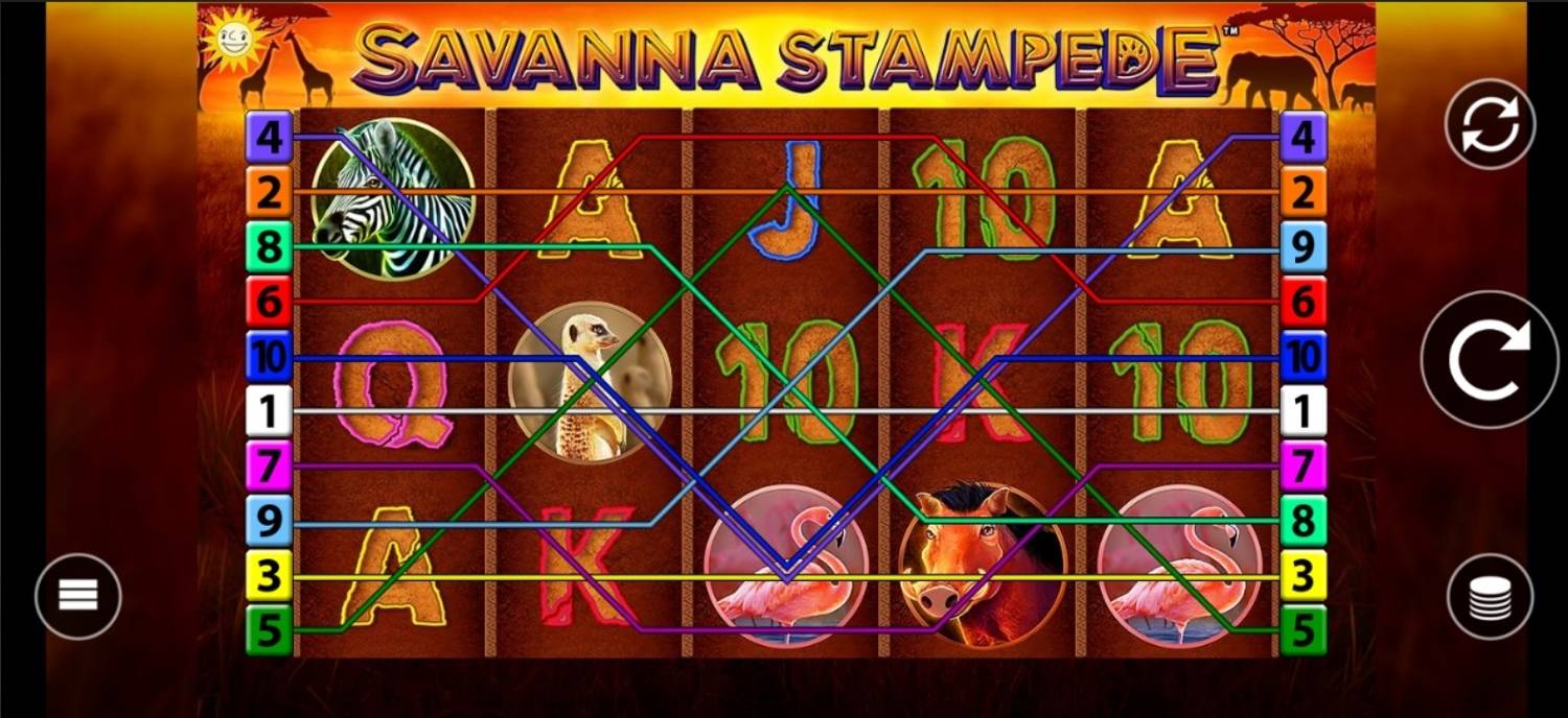 Savanna Stampede