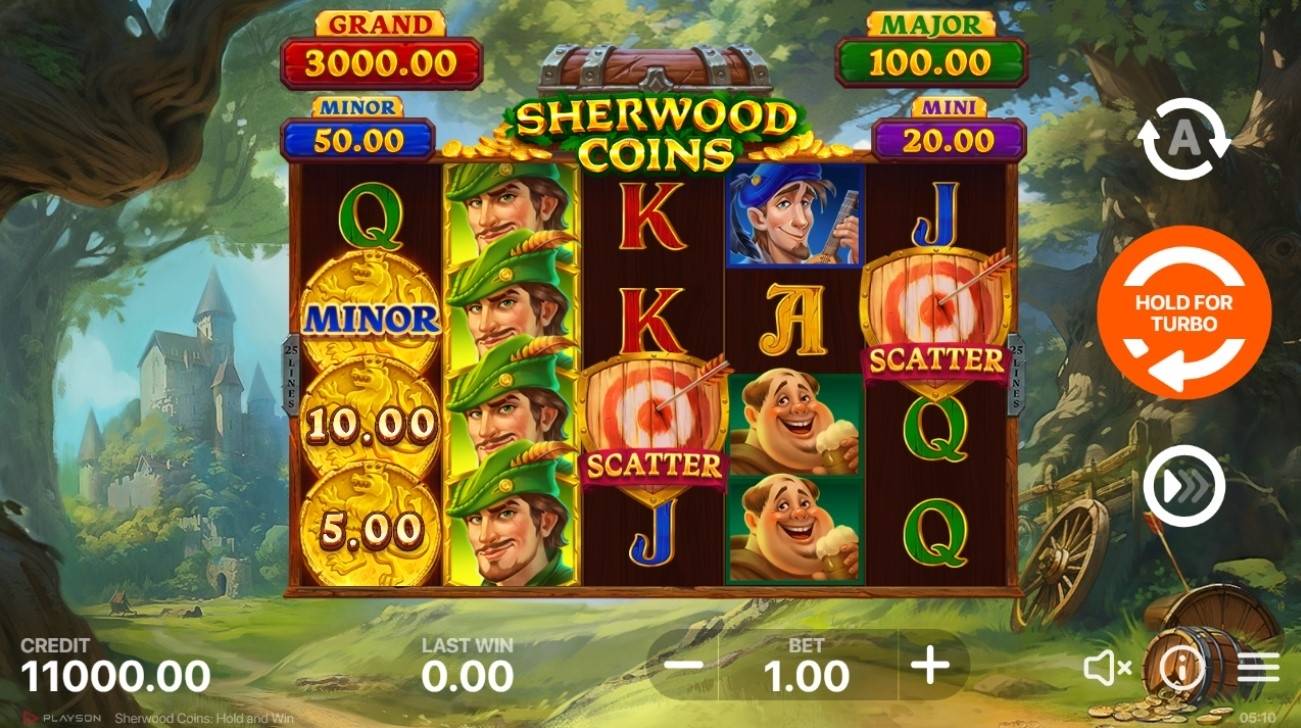 Sherwood Coins: Hold and Win