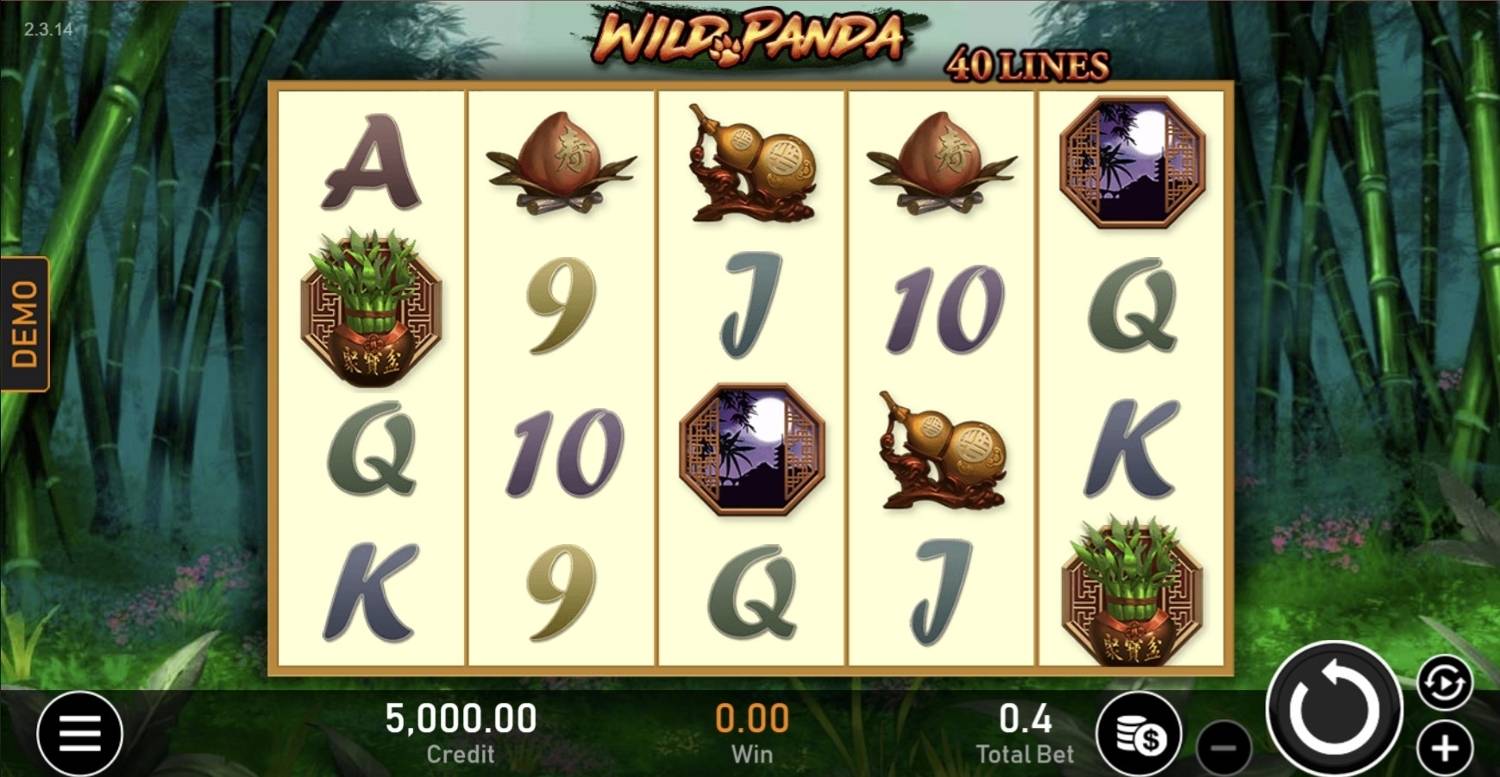 Wild Panda