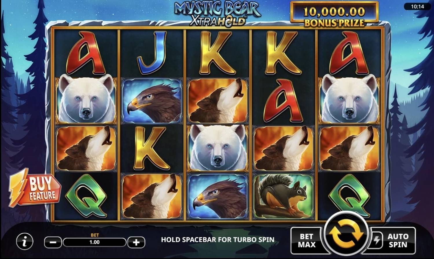 Mystic Bear XtraHold