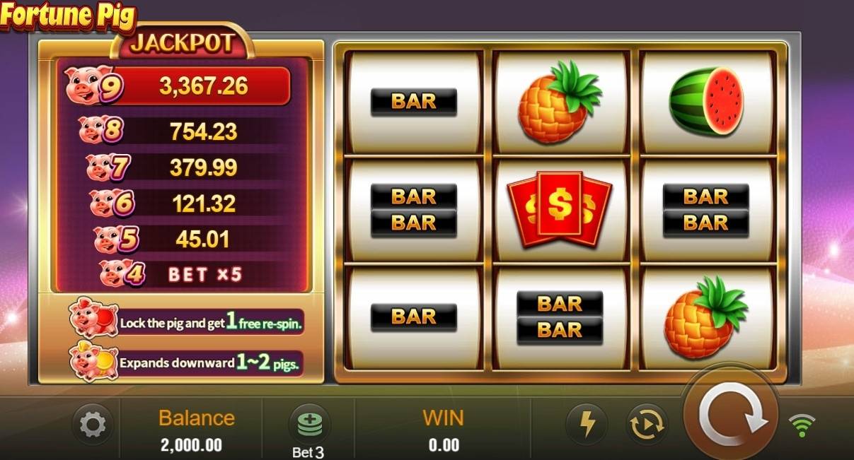 Fortune Pig