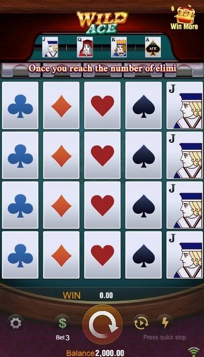 Wild Ace