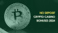 Best Bitcoin Casinos No Deposit Bonus in [month] [year]
