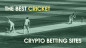 Top Crypto & Bitcoin Cricket Sites in [month] [year]