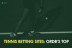 Best Crypto & Bitcoin Tennis Betting Sites in [month] [year]