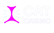 CatCasino Review — Key Facts & Perks for Gamblers in 2025