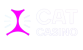 CatCasino Review — Key Facts & Perks for Gamblers in 2025