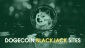 Best Dogecoin Blackjack Sites for [month] [year]