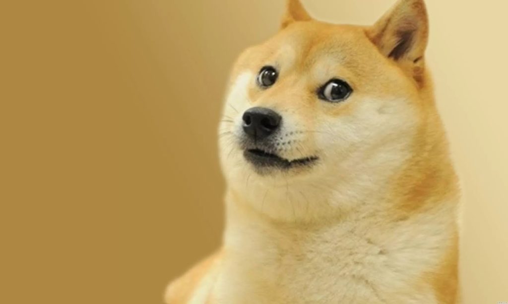 doge meme