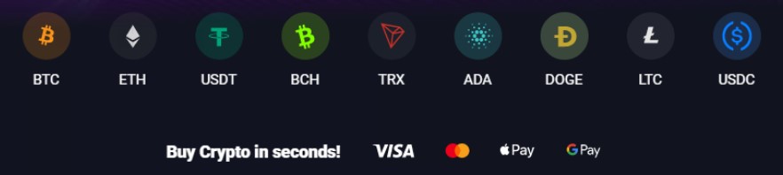 Accepted cryptocurrencies: BTC, ETH, USDT, BCH, TRX, etc. 