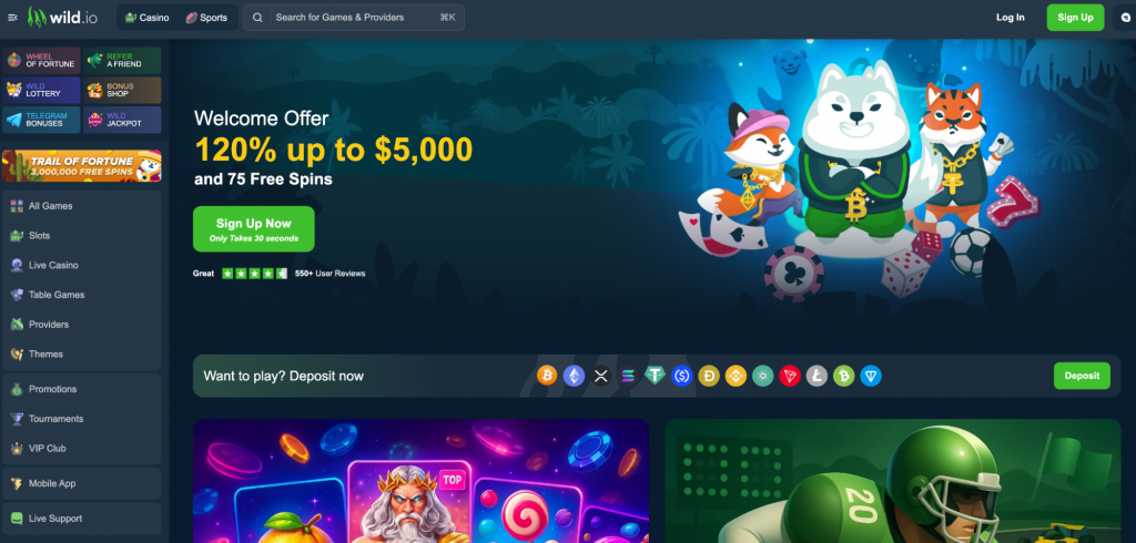 Wild.io homepage