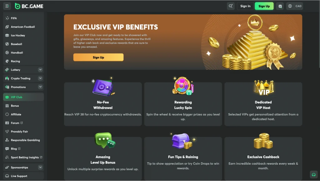 VIP  Loyalty Program