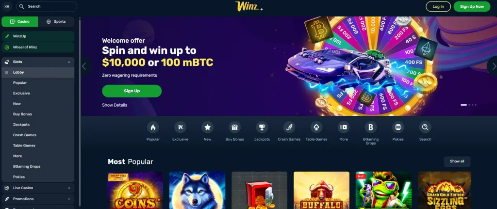 Winz.io no deposit bonus can be entered after clicking Sign Up Now